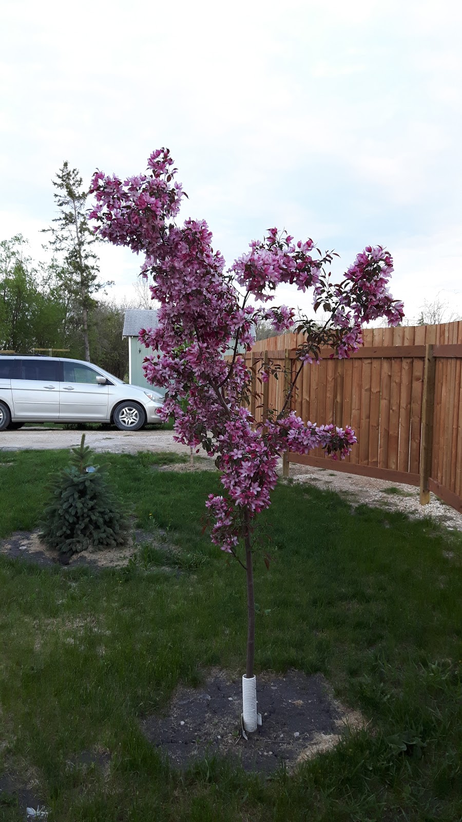 Friendly Flowers Garden Ctr | NE-15-22-2E, Arborg, MB R0C 0A0, Canada | Phone: (204) 376-2727