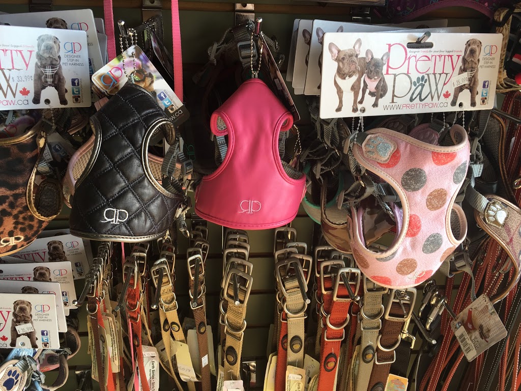 Animalissimo inc. | 5434 Boulevard Cousineau, Saint-Hubert, QC J3Y 7J8, Canada | Phone: (450) 812-9585