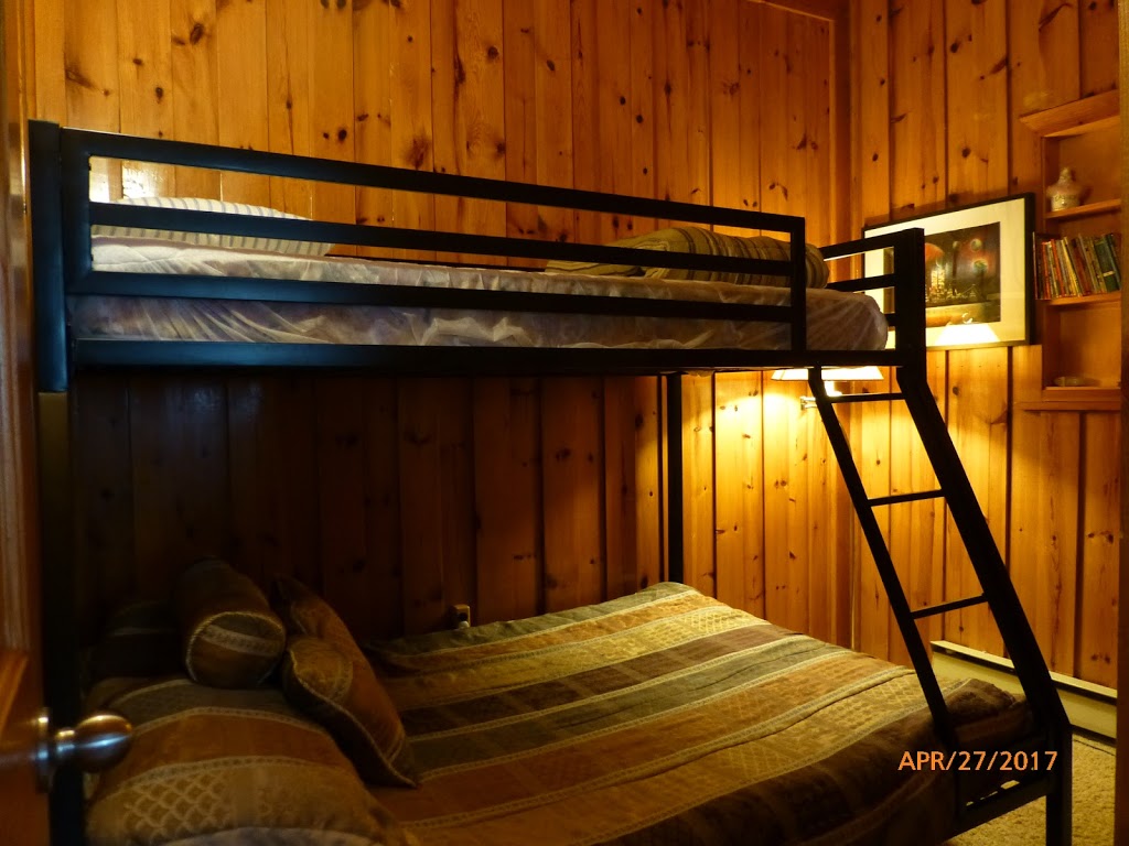 Cardinal Pines Cottage | 17560 ON-35, Algonquin Highlands, ON K0M 1J2, Canada | Phone: (647) 500-0100