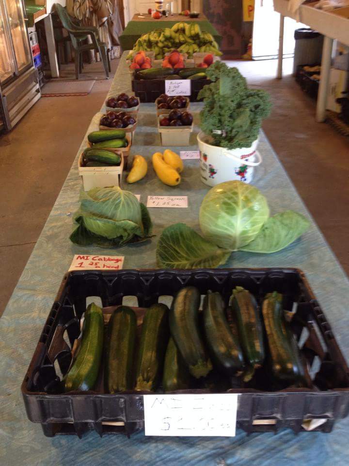 Debbies veggies and rotarius greenhouse | 10246 Dixie Hwy, Ira Township, MI 48023, USA | Phone: (586) 725-0831
