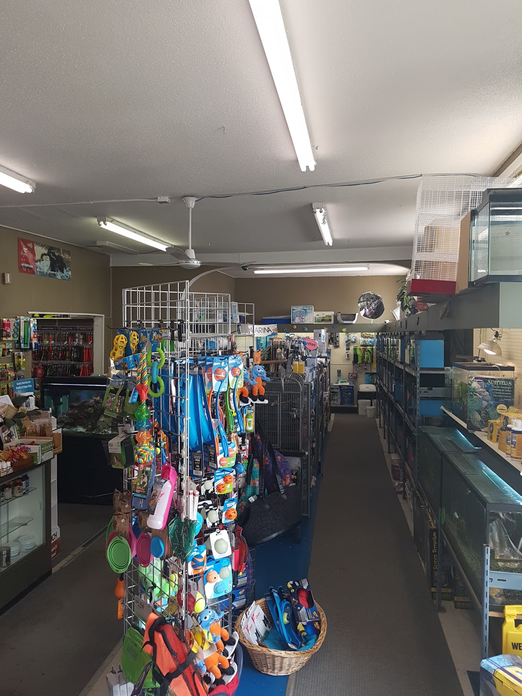 Noahs Ark Pets & Supplies Ltd | 10130 100 Ave, Morinville, AB T8R 1P8, Canada | Phone: (780) 939-2528