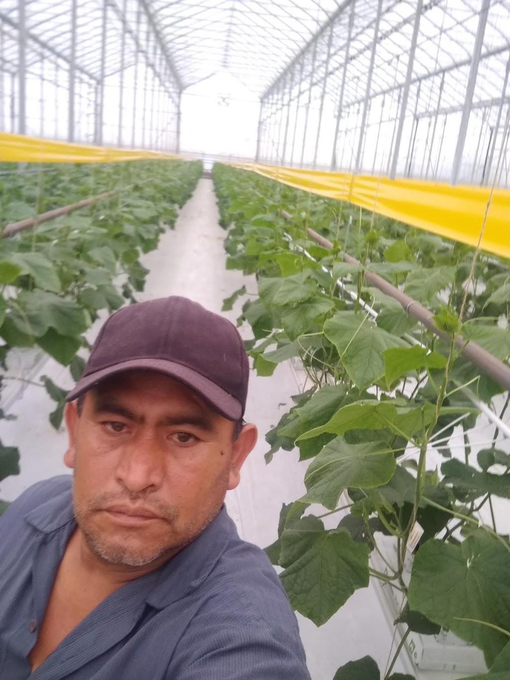 Ashley Gardens | 535 Mersea Rd 6 #7, Leamington, ON N8H 3V8, Canada | Phone: (519) 326-1968