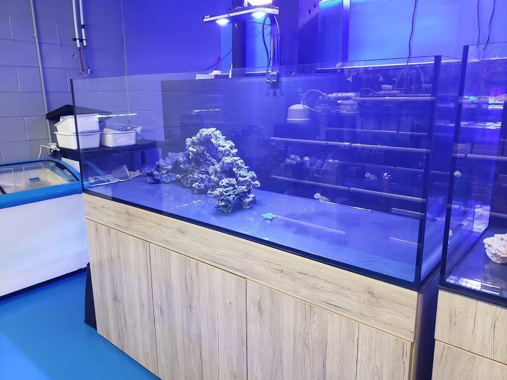 Under The Sea Inc. | 45 Scott Street West, St. Catharines, Ontario, L2R 1E