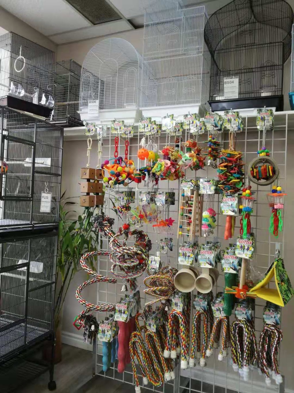 Glitter Pet Supplies | 190 Britannia Rd E #20, Mississauga, ON L4Z 2E7, Canada | Phone: (647) 718-7387
