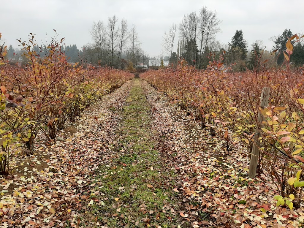 GEHLAN FARM | 13549 Hale Rd, Pitt Meadows, BC V3Y 1Z1, Canada | Phone: (604) 825-1714