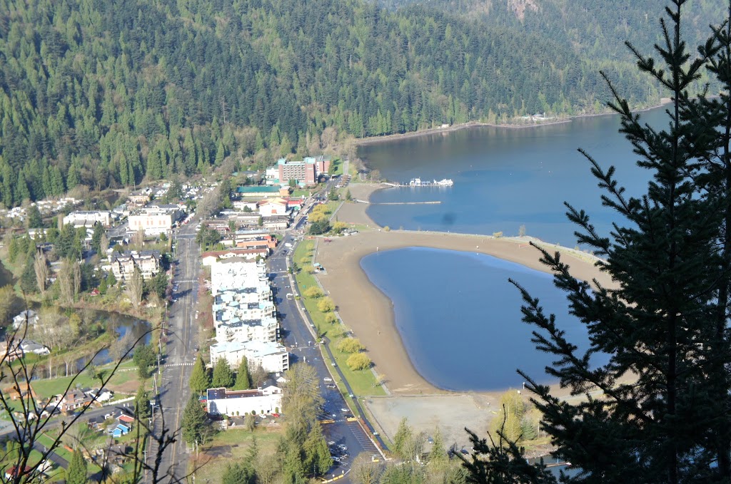 3A Team with Sutton Realty | 7092 Pioneer Ave c, Agassiz, BC V0M 1A0, Canada | Phone: (604) 491-1060