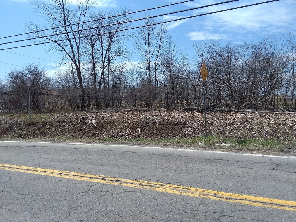 Tonawanda Firemans Park | 318 Two Mile Creek Rd, Tonawanda, NY 14150, USA | Phone: (716) 694-8557