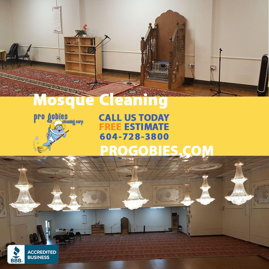 Progobies Cleaning Service | 4098 Irmin St, Burnaby, BC V5J 1X5, Canada | Phone: (604) 728-3800