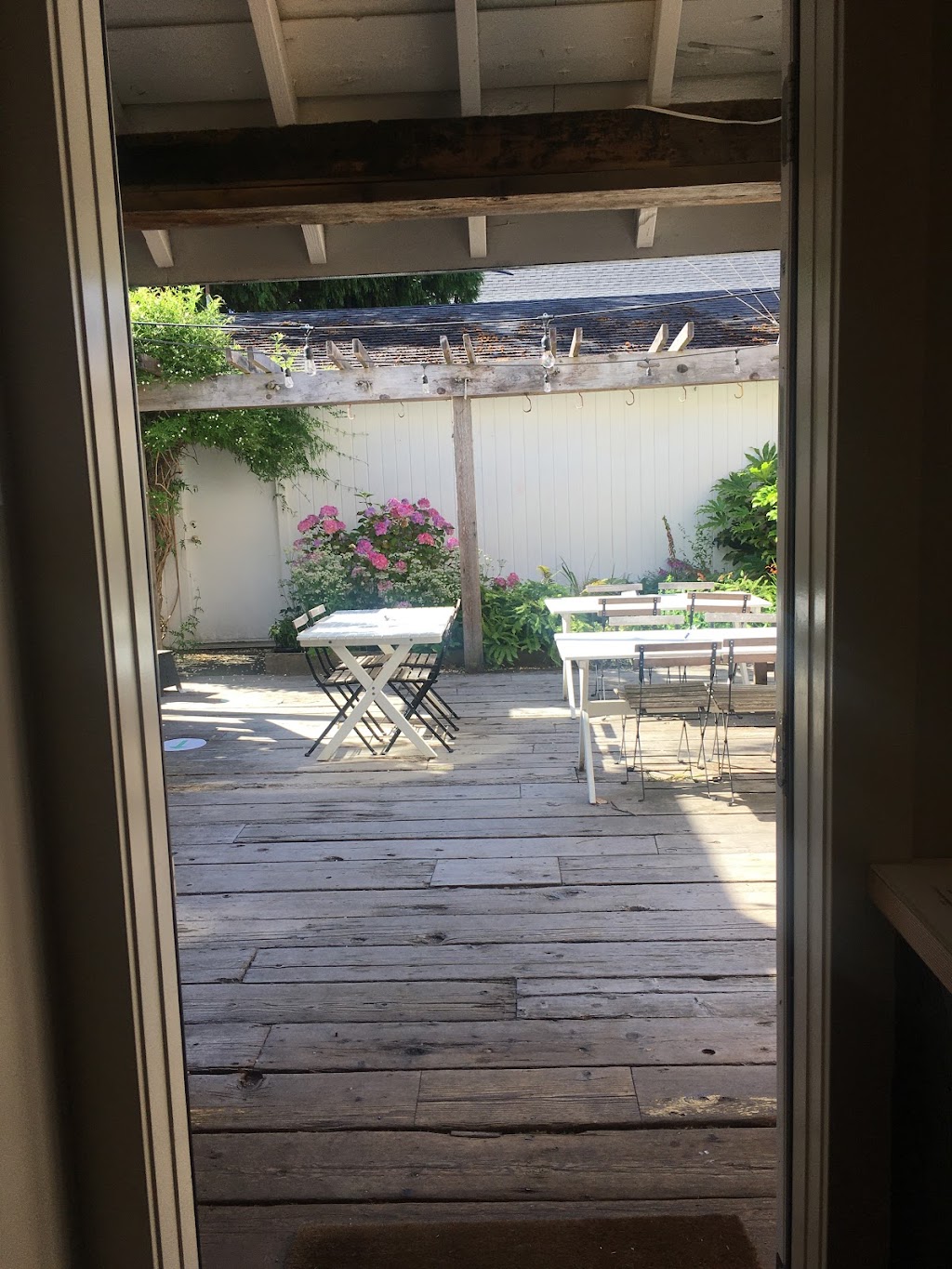 Hide + Seek Coffee Fairfield | 1839 Fairfield Rd, Victoria, BC V8S 1G9, Canada | Phone: (778) 265-0642
