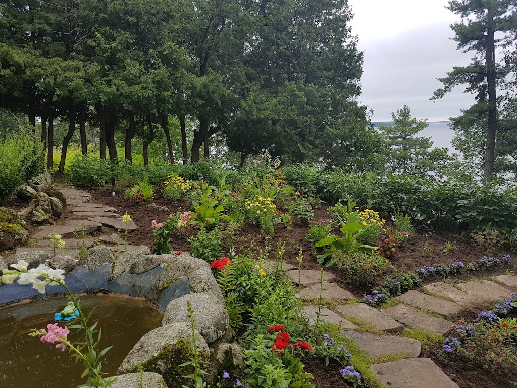 cleanslate homescape | 139 Medora St, Port Carling, ON P0B 1J0, Canada | Phone: (705) 646-5228