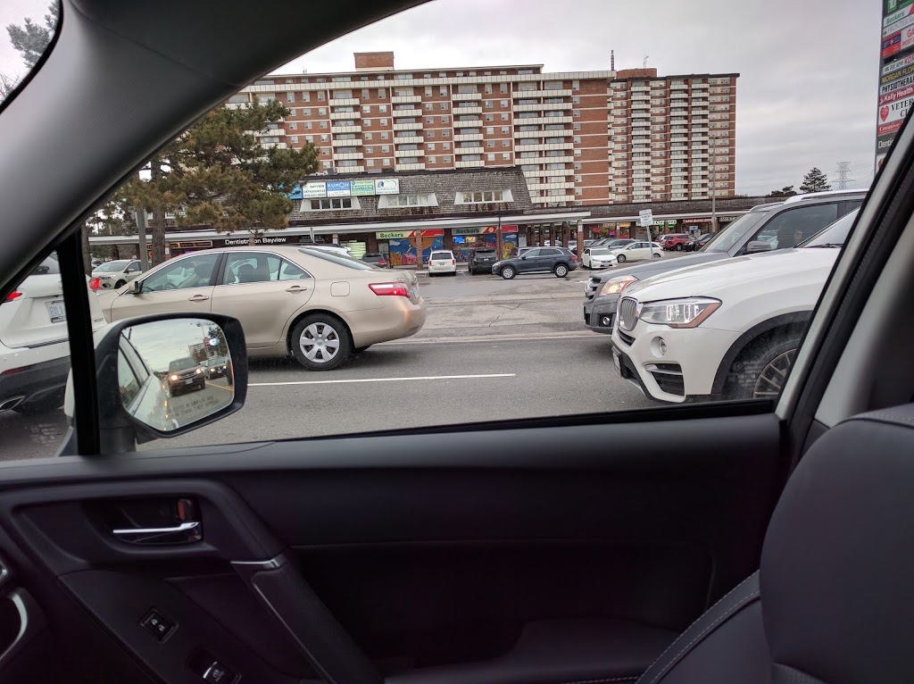 Bayview-Cummer Shopping Centre | 3311 Bayview Ave, North York, ON M2K 1G4, Canada