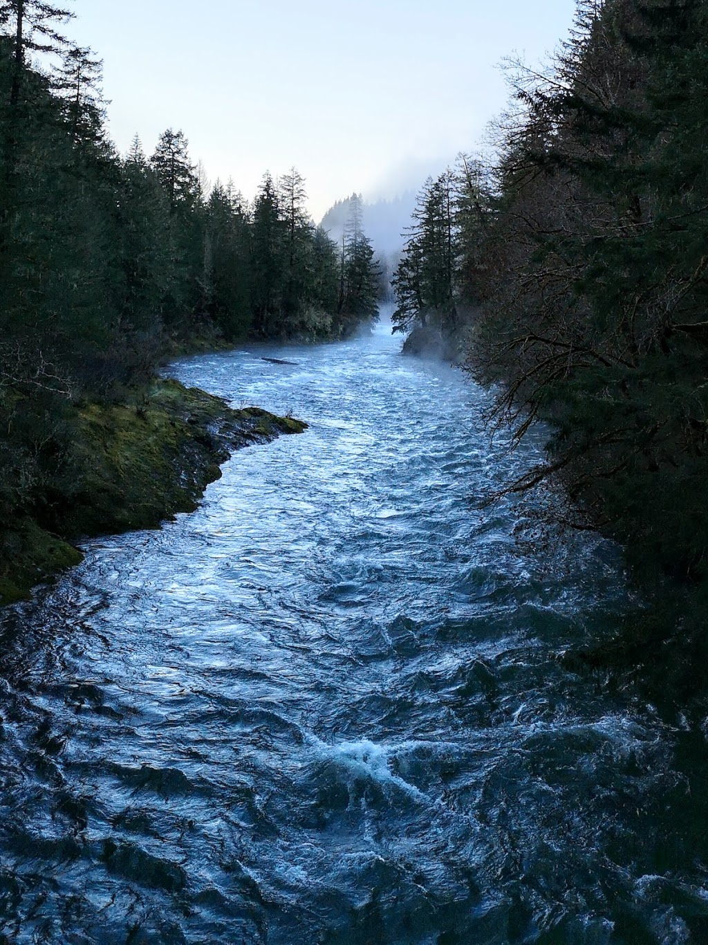 Cowichan River Provincial Park | Lake Cowichan, BC V0R 2G0, Canada | Phone: (877) 559-2115
