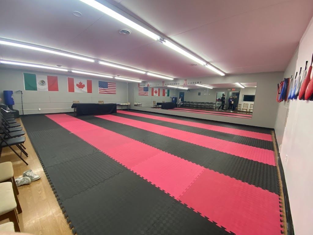North American Taekwondo Academy | 59 Kirby Ave, Dundas, ON L9H 6P3, Canada | Phone: (647) 915-6266