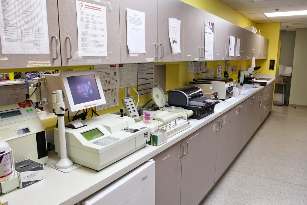 DMV Veterinary Center | 2300 54e Av, Lachine, QC H8T 3R2, Canada | Phone: (514) 633-8888