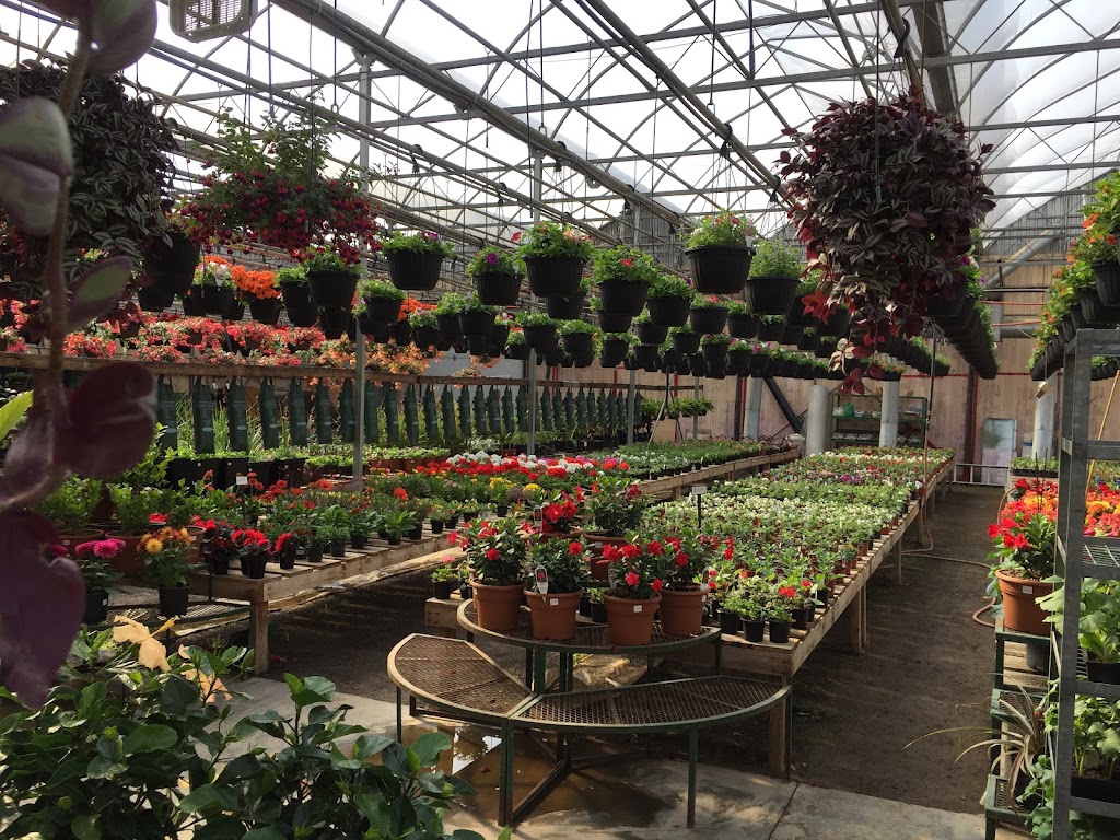 Pépinière Sabatino & fils | 5600 Bd Laurier, Terrebonne, QC J7M 0A1, Canada | Phone: (450) 477-5410