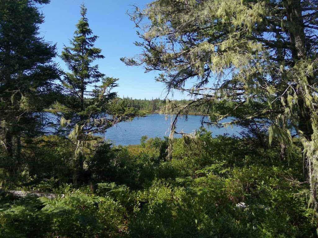 Thomas Raddall Provincial Park | 529 Raddall Park Rd, Port Joli, NS B0T 1S0, Canada | Phone: (902) 683-2664