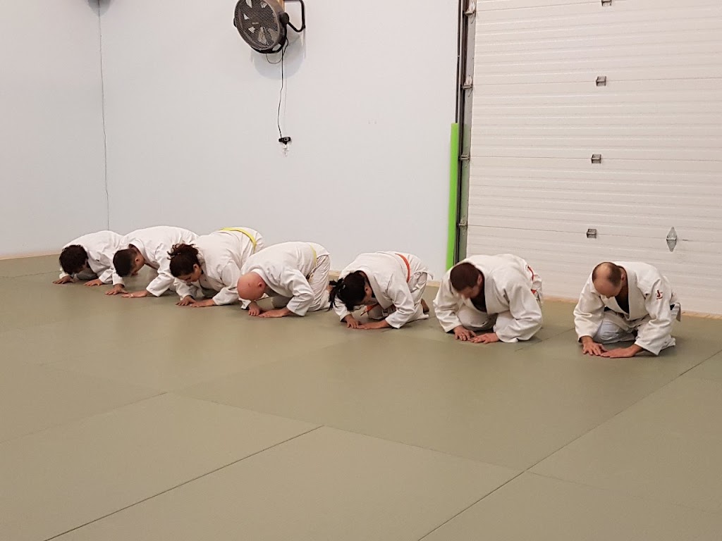 Stewiacke Aikido | 299 George St, Stewiacke, NS B0N 2J0, Canada | Phone: (902) 880-5846