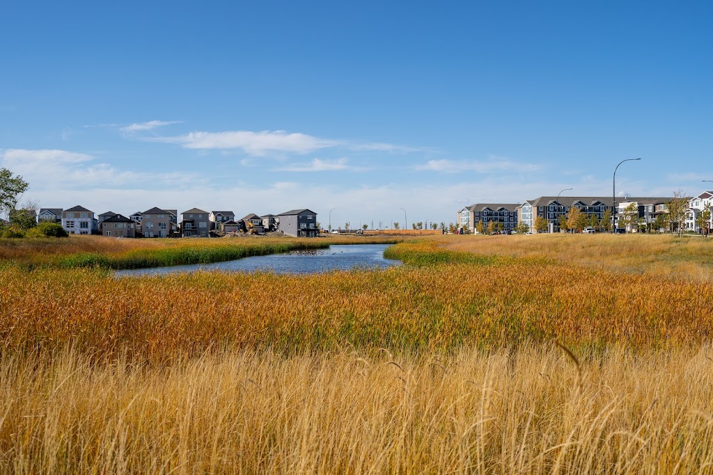 Aurora at North Point | 100 N Point Blvd, Winnipeg, MB R2V 5B5, Canada | Phone: (780) 455-3098