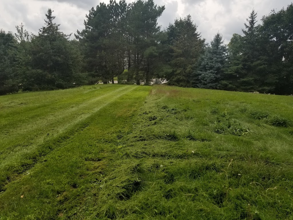 Big and small landscaping | 17231 RR 50, Palgrave, ON L7E 0K8, Canada | Phone: (905) 586-0847
