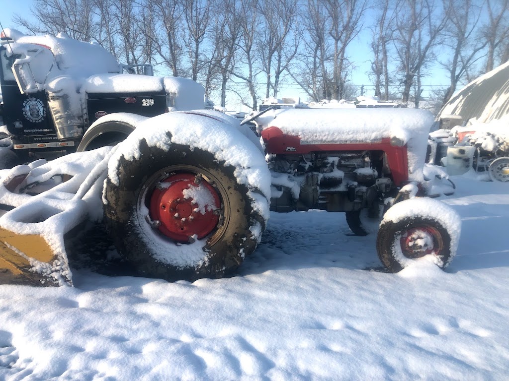 H & E Stroeve Cattle Co | Hwy 519, Picture Butte, AB T0K 1V0, Canada | Phone: (403) 738-4427
