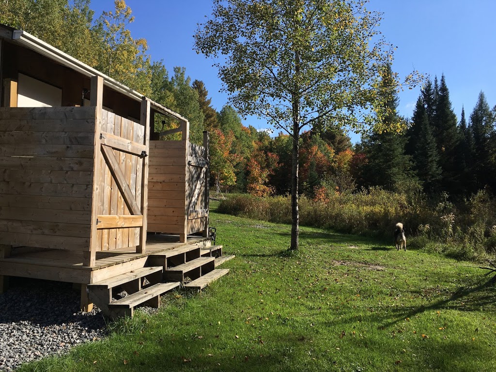 Tipi Adventures - Simply Fit and Fun! | 1345 Beatrice Townline Rd, Bracebridge, ON P1L 1X4, Canada | Phone: (705) 706-7125