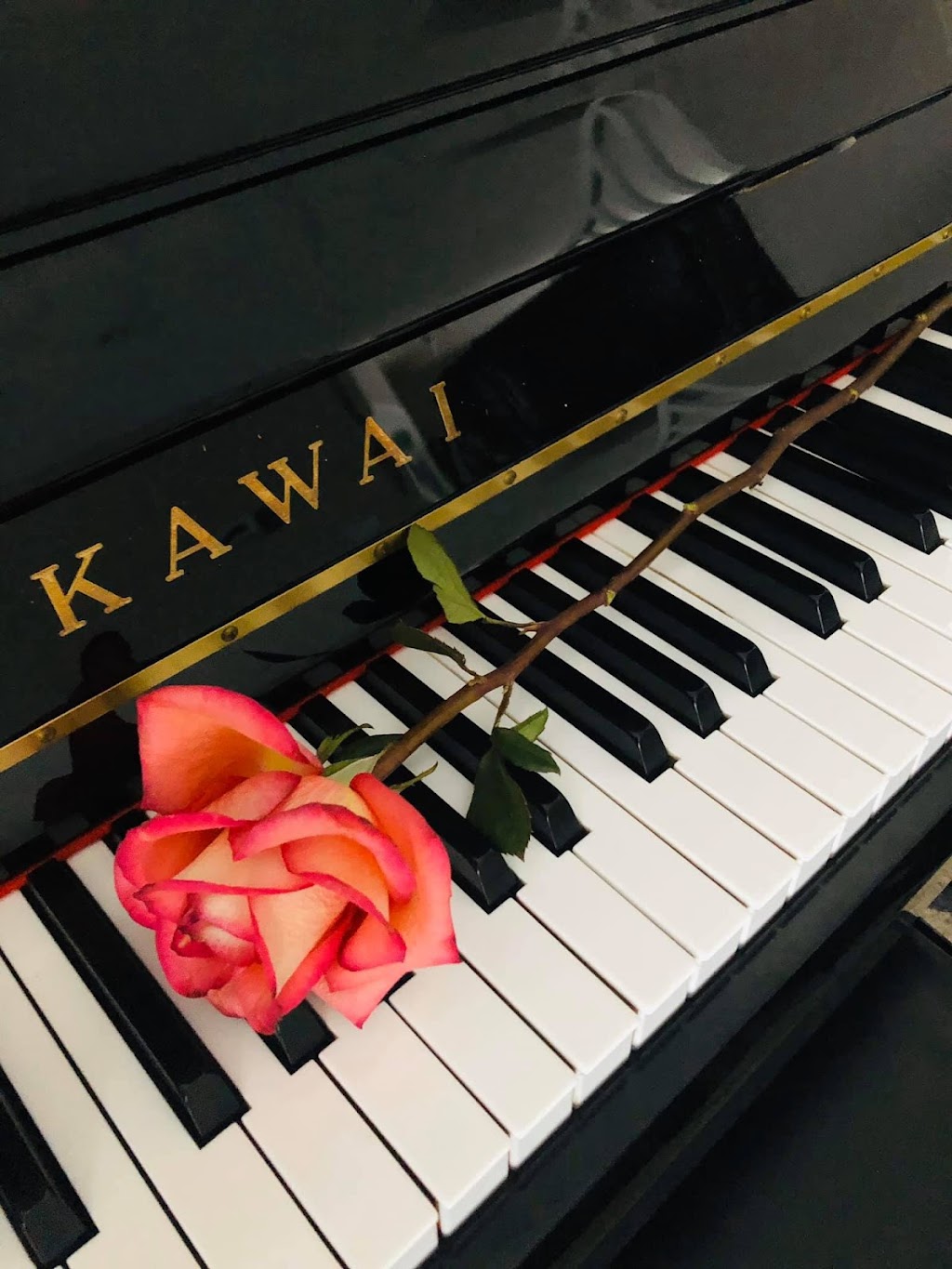 Svetlanas Piano Lessons - Experience the Joy of Music | 171 Seton Heath SE, Calgary, AB T3M 3G3, Canada | Phone: (204) 294-1619