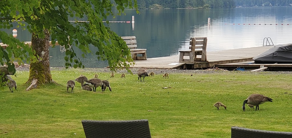 Breeze Lake House Lindell | 1774 Lindell Caltus, Chilliwack, BC V2R 0J5, Canada | Phone: (604) 799-8872