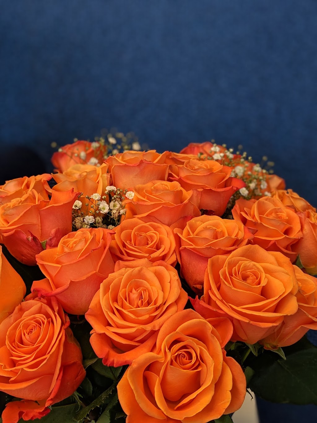 Simply Wellness Dental | 488 Gamma Ave, Burnaby, BC V5C 0J7, Canada | Phone: (604) 393-3737