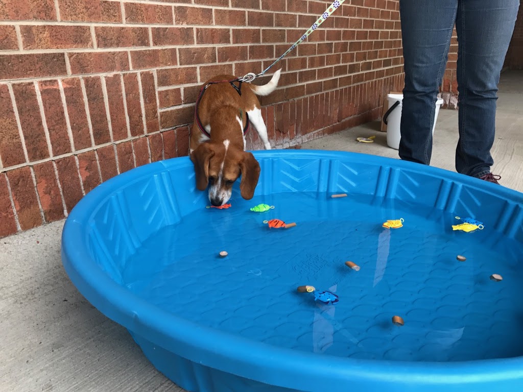 Pet Valu | 235 Guelph St, Georgetown, ON L7G 4A8, Canada | Phone: (905) 873-7407