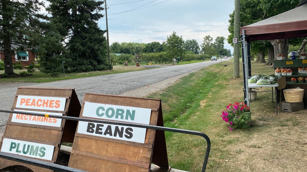 Warner Orchards | 4505 Lincoln Av, Beamsville, ON L0R 1B3, Canada | Phone: (905) 563-4817