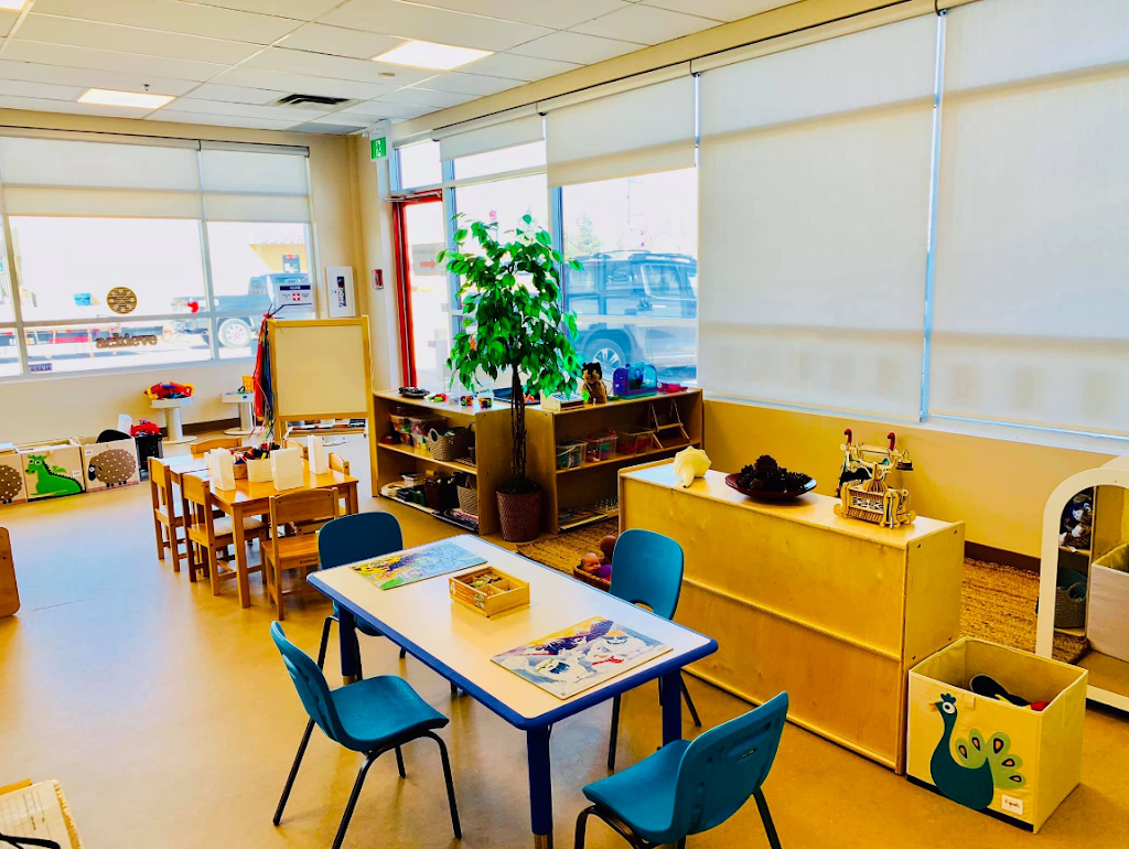 Great Expectations Childcare | 3022 Calgary Trail NW, Edmonton, AB T6J 6V4, Canada | Phone: (780) 465-5551