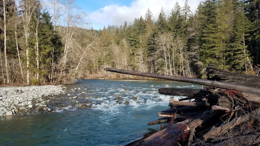 Baker-Snoqualmie National Forest | WA-542, Deming, WA 98244, USA | Phone: (800) 627-0062