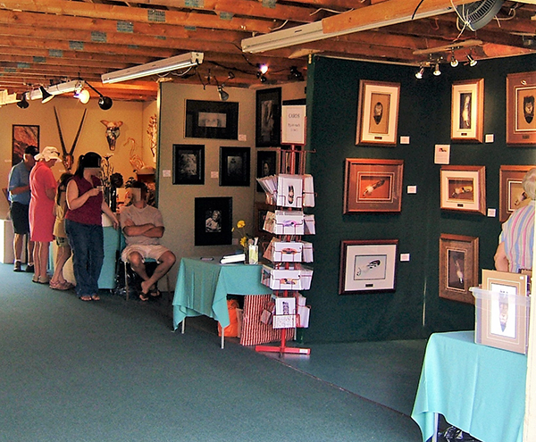 Buckhorn Fine Arts Festival | 1J0, 1782 Lakehurst Rd, Buckhorn, ON K0L 1J0, Canada | Phone: (705) 657-1918