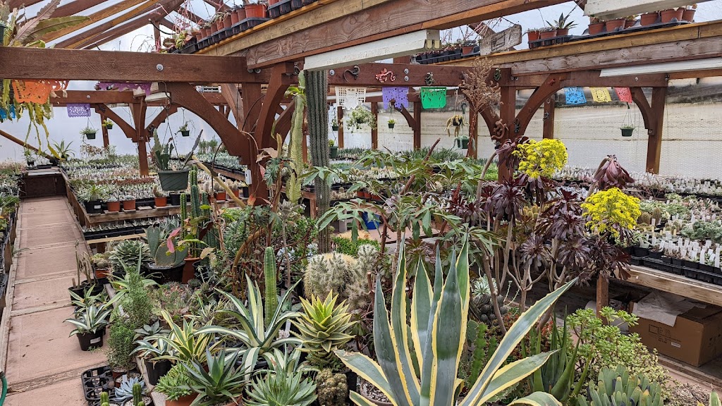 Valley Succulents | 2210 Anderton Rd, Comox, BC V9M 4B2, Canada | Phone: (250) 465-1338