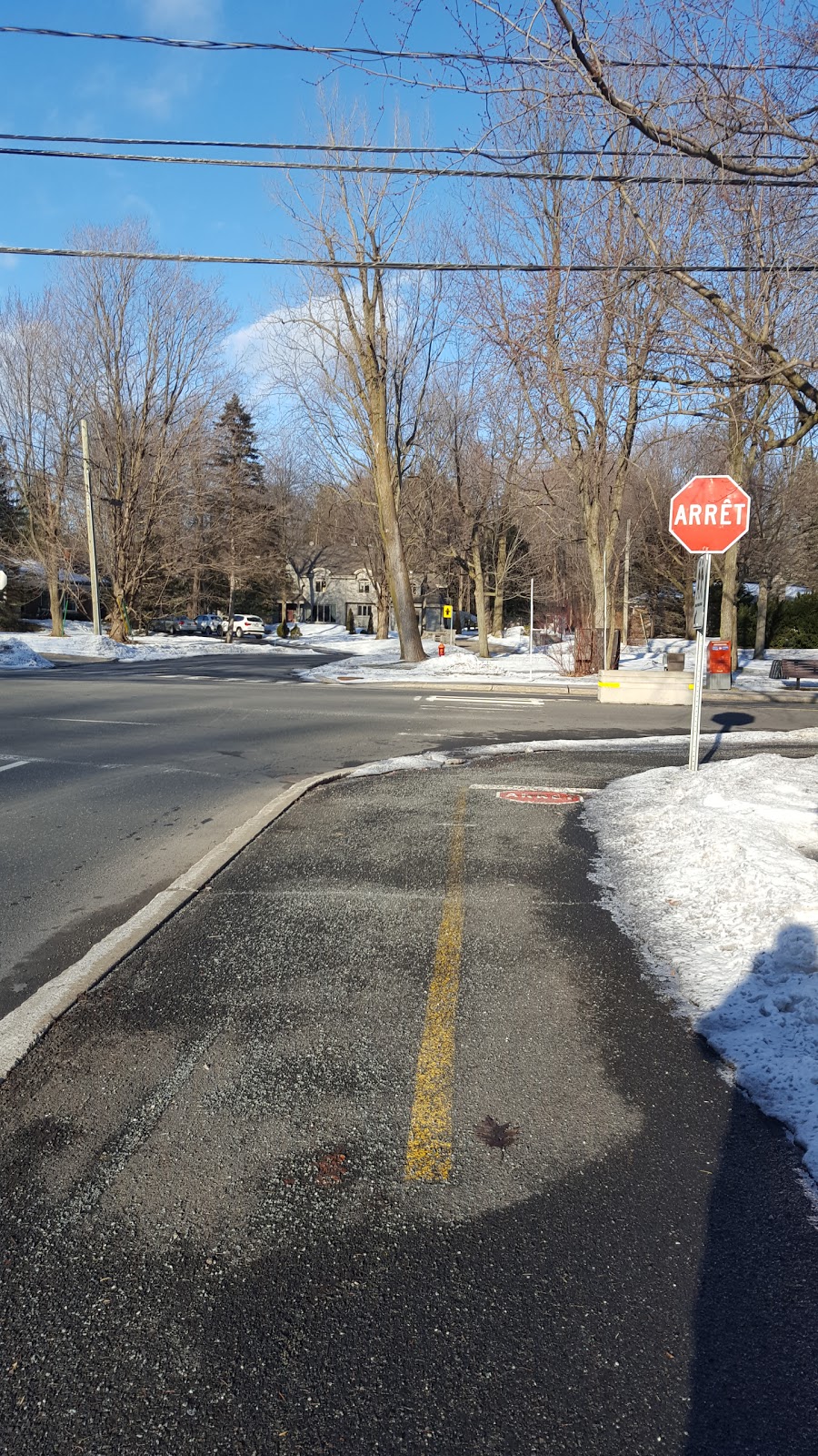 Parc des Bouleaux | 1680 Rue du Parc, Saint-Bruno-de-Montarville, QC J3V 4L9, Canada