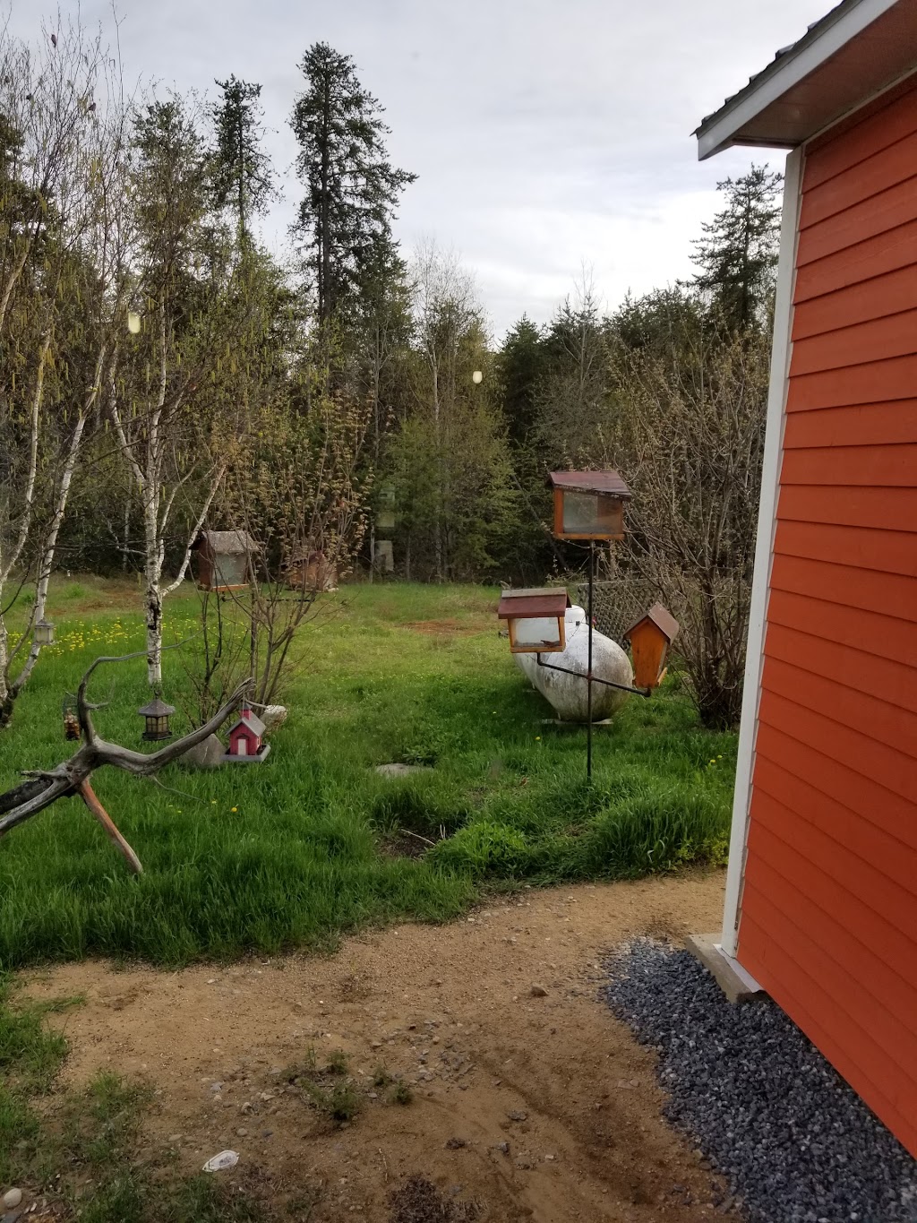 Casse-Croûte Lu-Nic | cp90, Sainte-Anne-du-Lac, QC J0W 1V0, Canada | Phone: (819) 623-0911