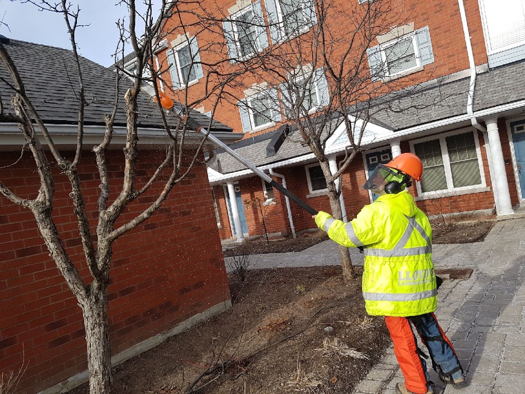 LGMP - Lloyd’s Grounds Management Professionals | 1893 Durham Regional Rd 3, Hampton, ON L0B 1J0, Canada | Phone: (905) 263-2225