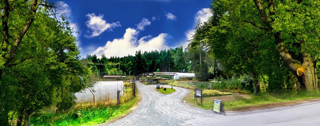 Indigo Farm Vacation Rentals | 289 Rainbow Rd, Salt Spring Island, BC V8K 2M3, Canada | Phone: (250) 537-7609