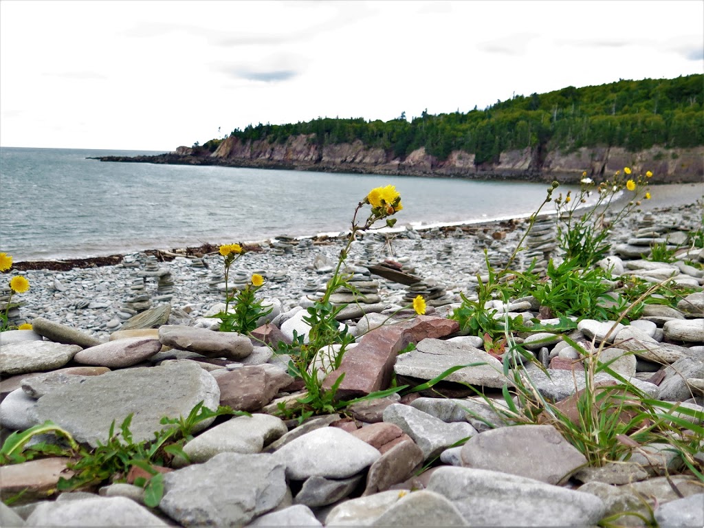 Cape Enrage Nature Preserve | 650 Cape Enrage Rd, Waterside, NB E4H 4Z4, Canada | Phone: (506) 457-2398