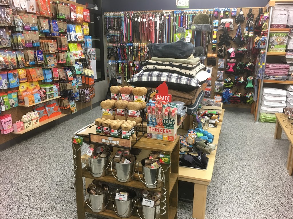 Pet Planet | 7177 Winterburn Rd NW, Edmonton, AB T5T 4K2, Canada | Phone: (587) 462-6280