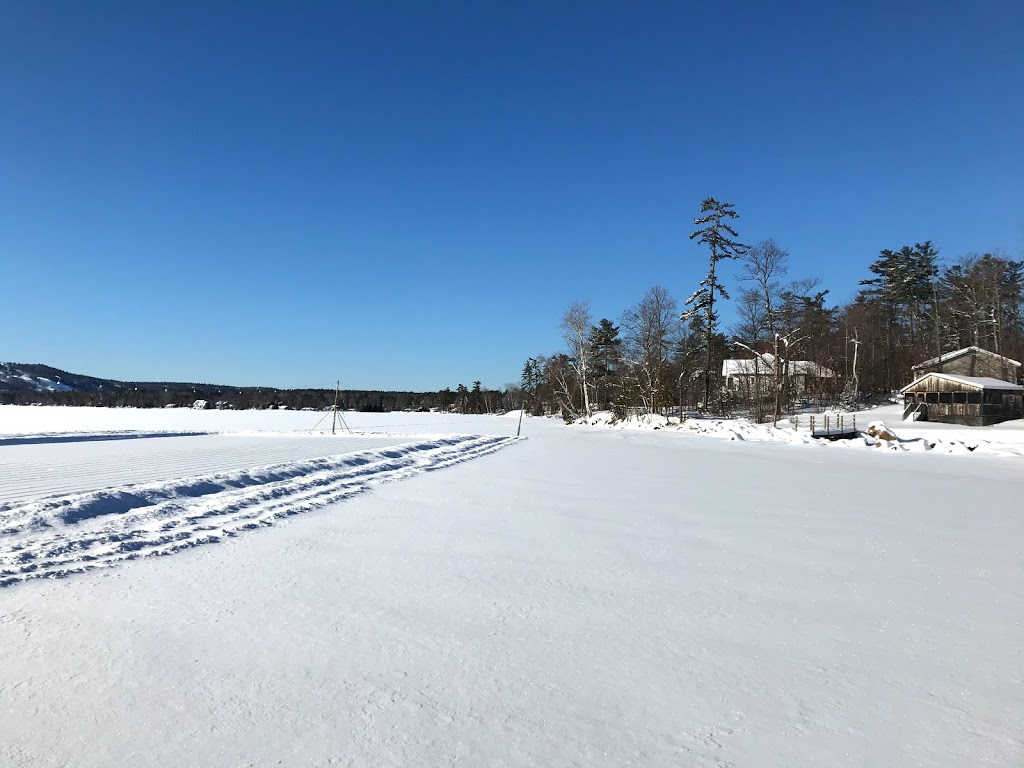 Jockos Beach Resort and Motel | 5253 Calabogie Rd, Calabogie, ON K0J 1H0, Canada | Phone: (613) 752-2107