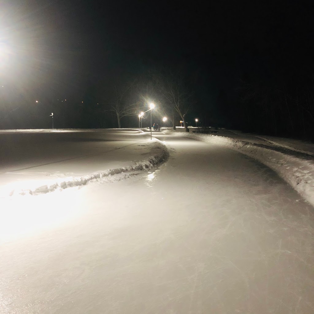 Victoria IceWay Skating Trail | 12030 River Valley Rd NW, Edmonton, AB T5K 1L4, Canada | Phone: (780) 442-5311