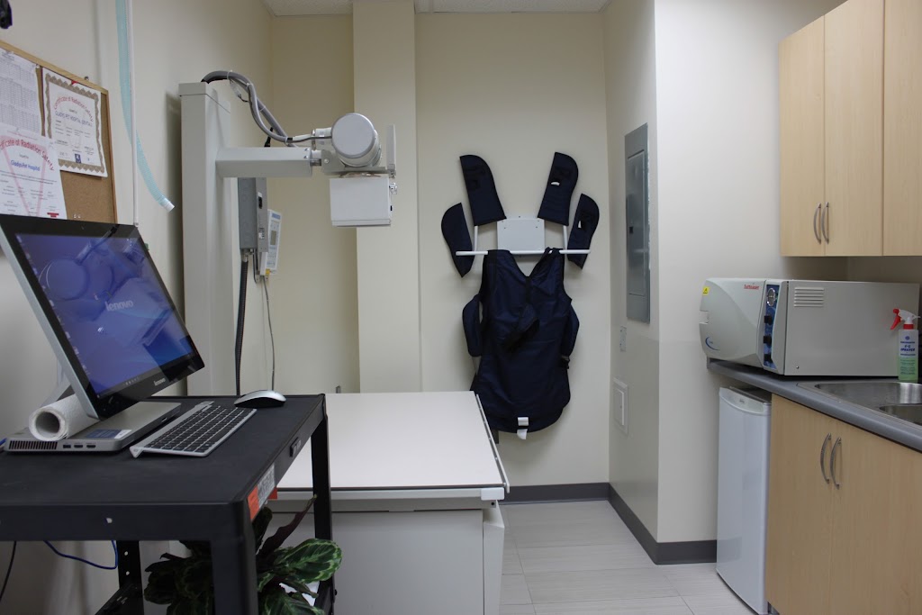 Gladys Pet Hospital | 2630 Gladys Ave, Abbotsford, BC V2S 3X7, Canada | Phone: (604) 850-2000