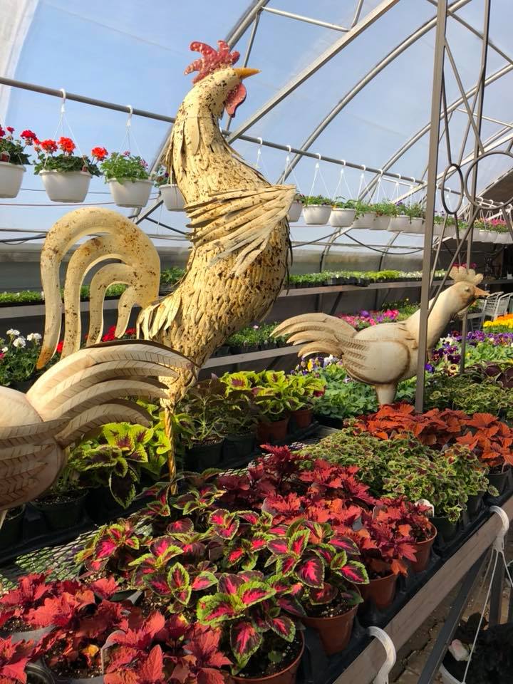 Levis Fine Home & Garden Decor | 4602 Rue Principale, Saint-Antoine, NB E4V 3H3, Canada | Phone: (506) 525-2505