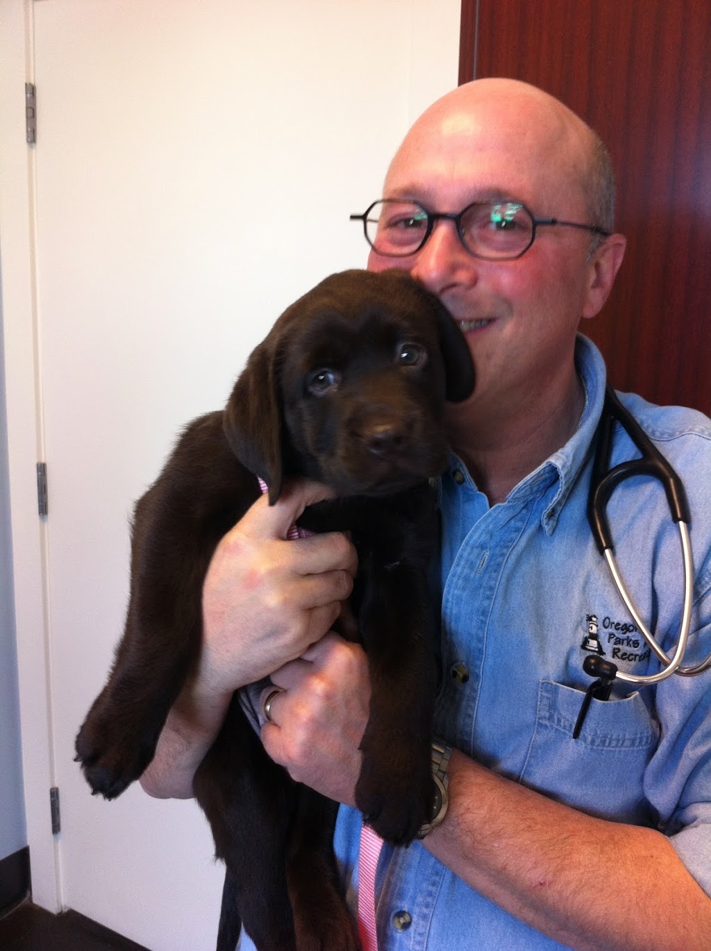 Harpaws Holistic Veterinary Services | 6464 St Andrews Way, Whistler, BC V0N 1B6, Canada | Phone: (604) 902-4886