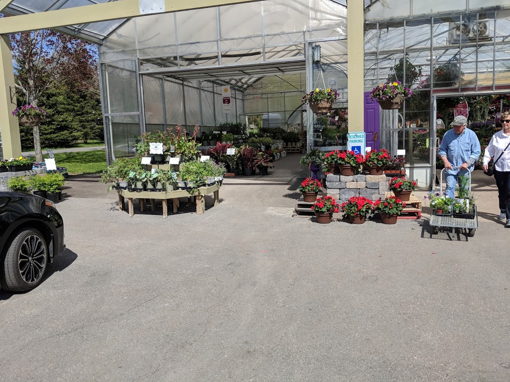 Sun Harvest Greenhouses | 2542 Perth Rd, Glenburnie, ON K0H 1S0, Canada | Phone: (613) 546-6541