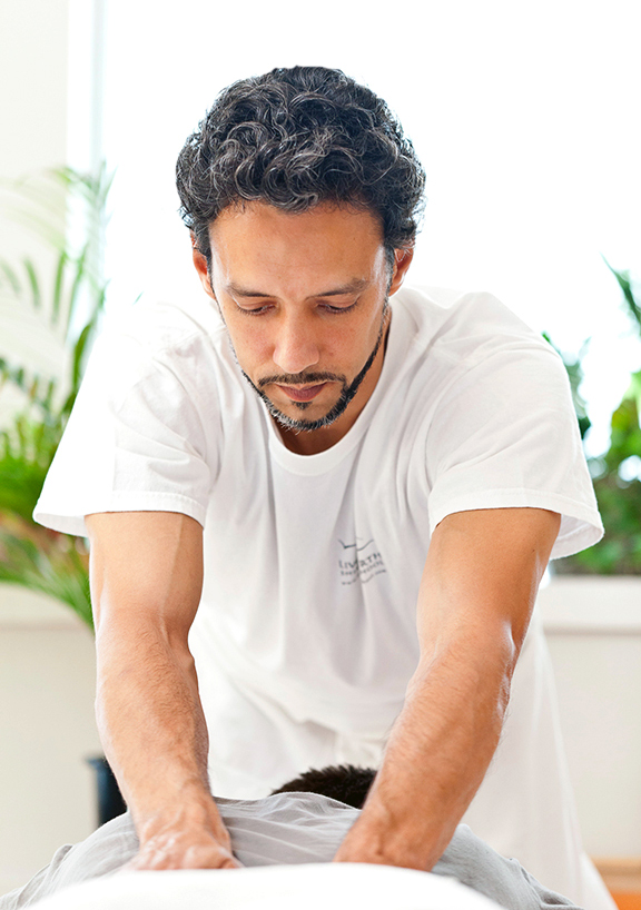 Three Branches Wellness | 277 Humbercrest Blvd, York, ON M6S 4L5, Canada | Phone: (416) 516-1563