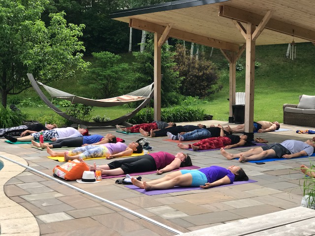 Lotus Meditation | 20 Avondale Ave N, Waterloo, ON N2L 2B3, Canada | Phone: (519) 716-2345