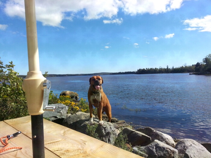 PetFocus Eastern Shore Veterinary Hospital | 5228 Highway 7, Porters Lake, NS B3E 1J8, Canada | Phone: (902) 827-4257