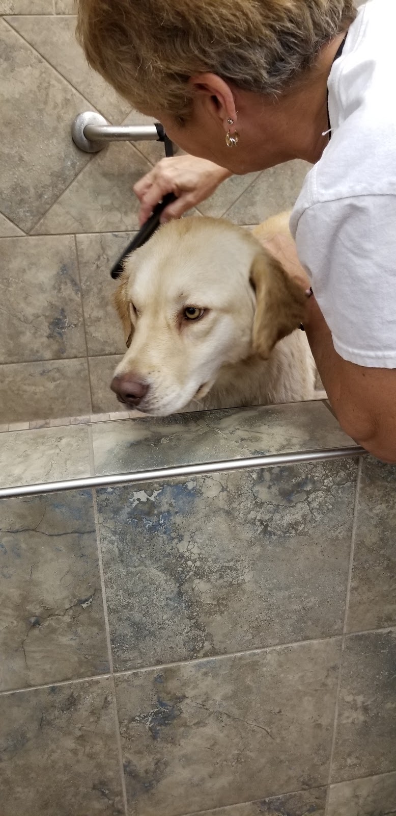Pet Valu | 3 Reenders Dr, Winnipeg, MB R2C 5K5, Canada | Phone: (204) 654-9955